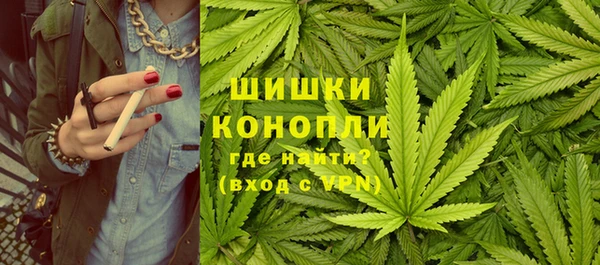 тгк Корсаков