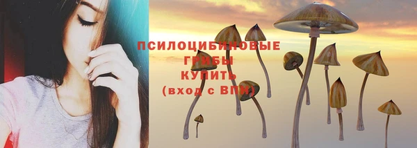 MDMA Коряжма